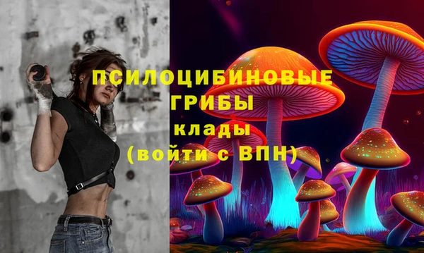 дмт Козельск